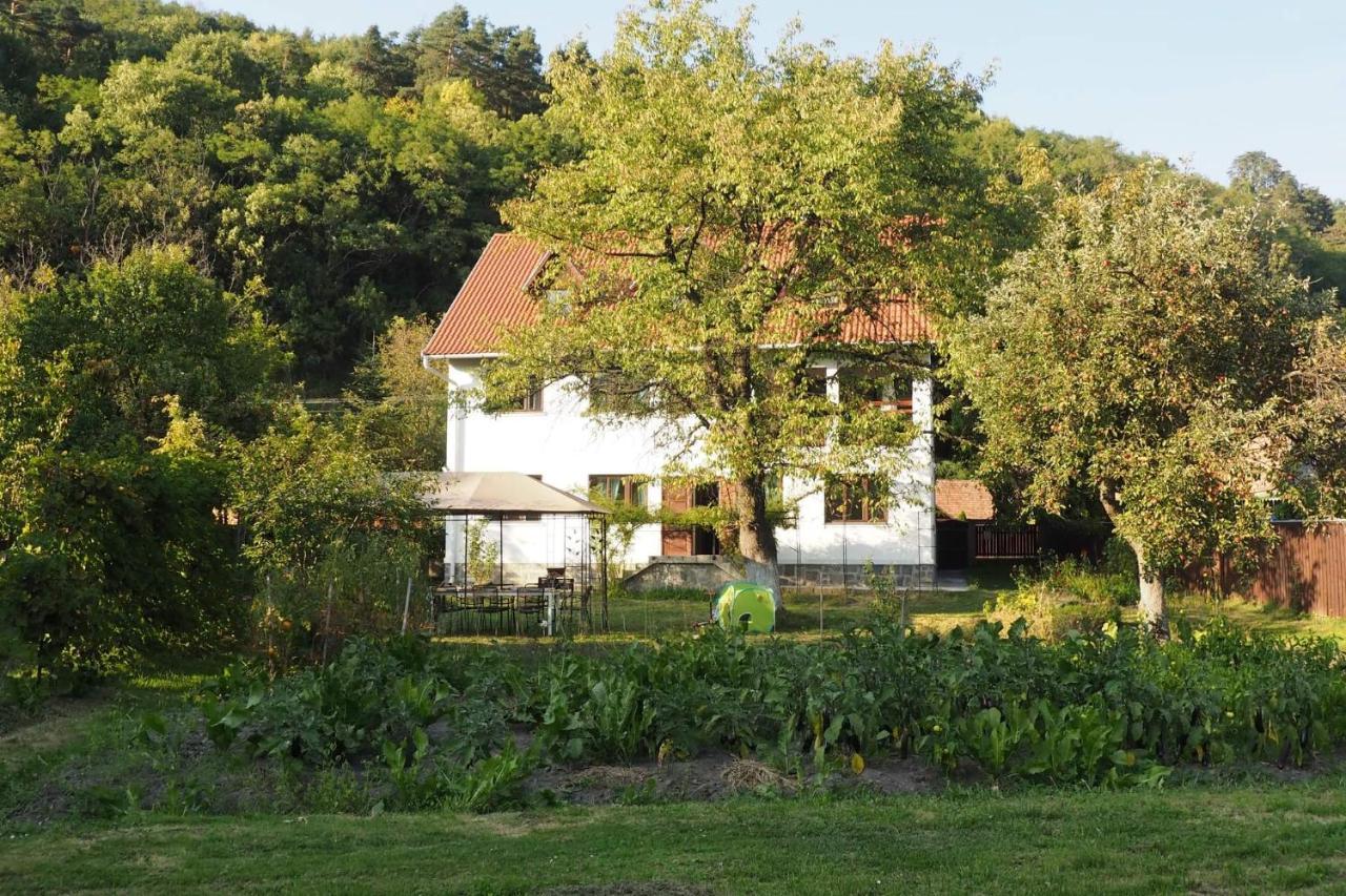 Casa Bucataria Fonix Hotell Praid Exteriör bild